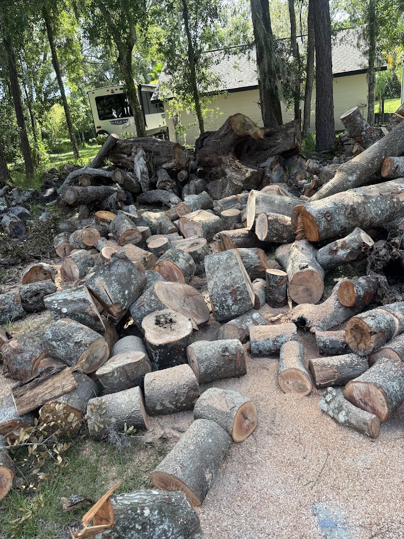 Photo of Fireman's Firewood