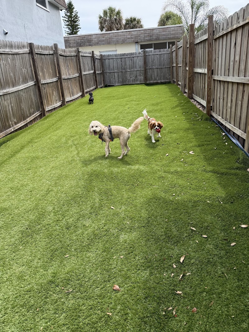 HAPPY PUPPIES - DOGGIE DAY CARE AND OVERNIGHT BOARDING photo 3