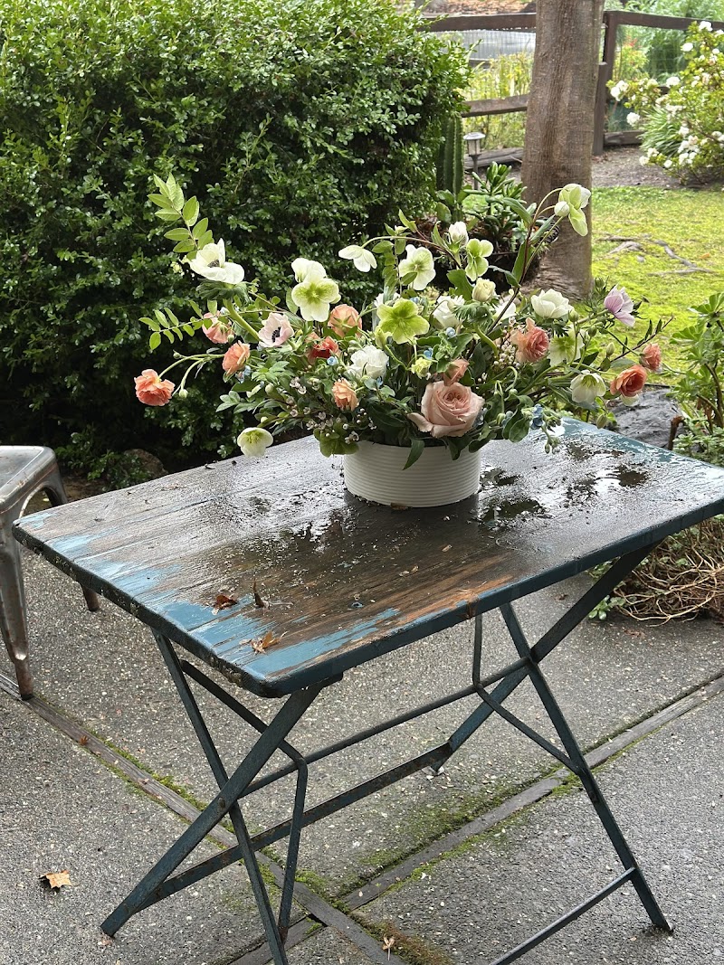 Photo of Flowers By Karen Brown