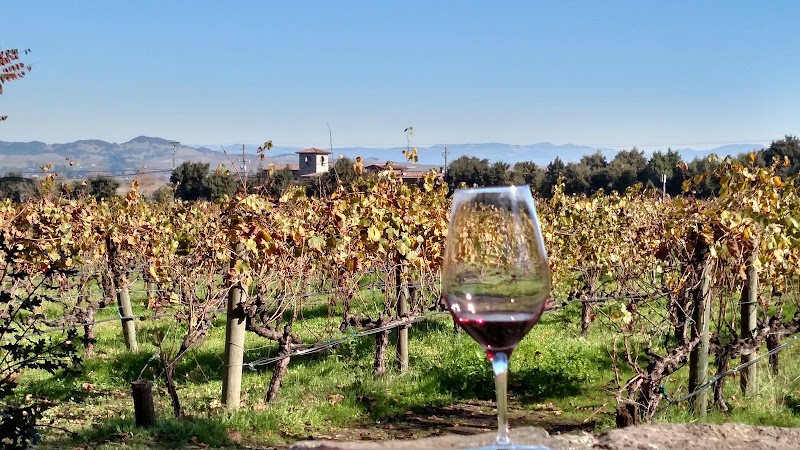 Cline Family Cellars photo 4