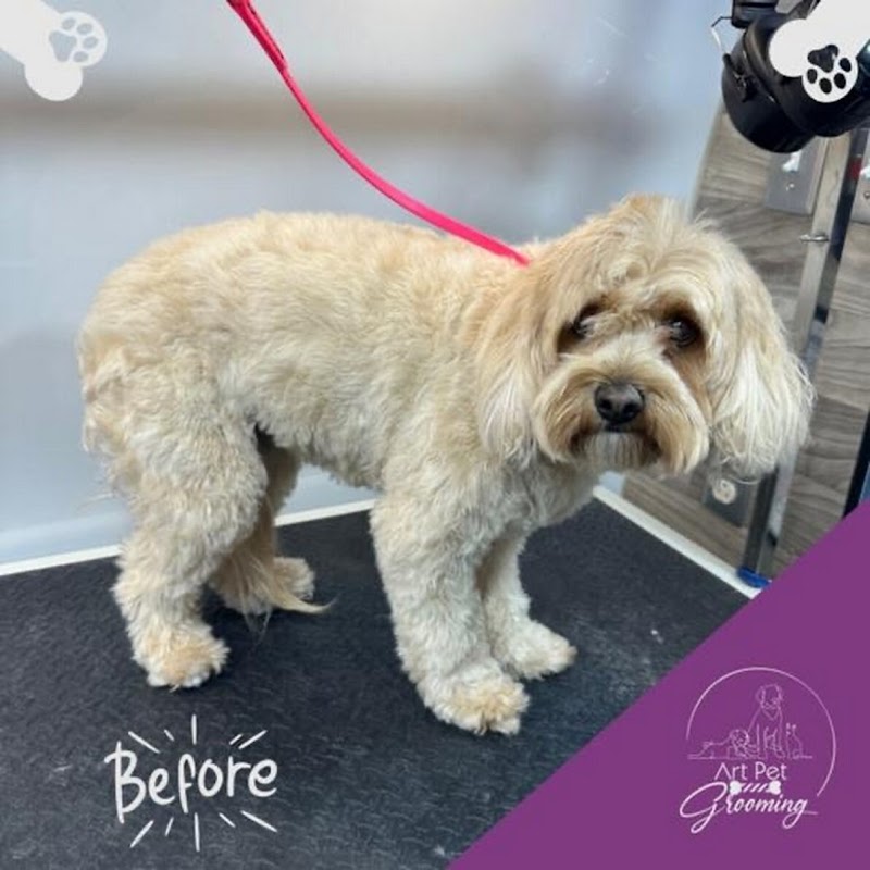 Art Pet Mobile Grooming photo 4