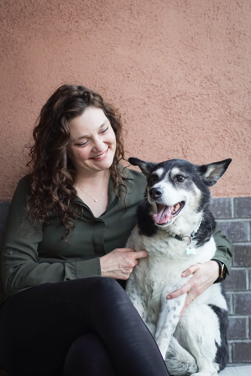 The Bailey Veterinary Medical Center photo 4