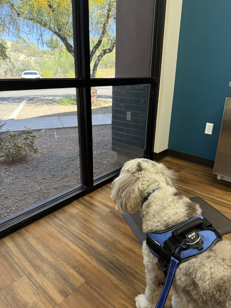 The Bailey Veterinary Medical Center photo 2