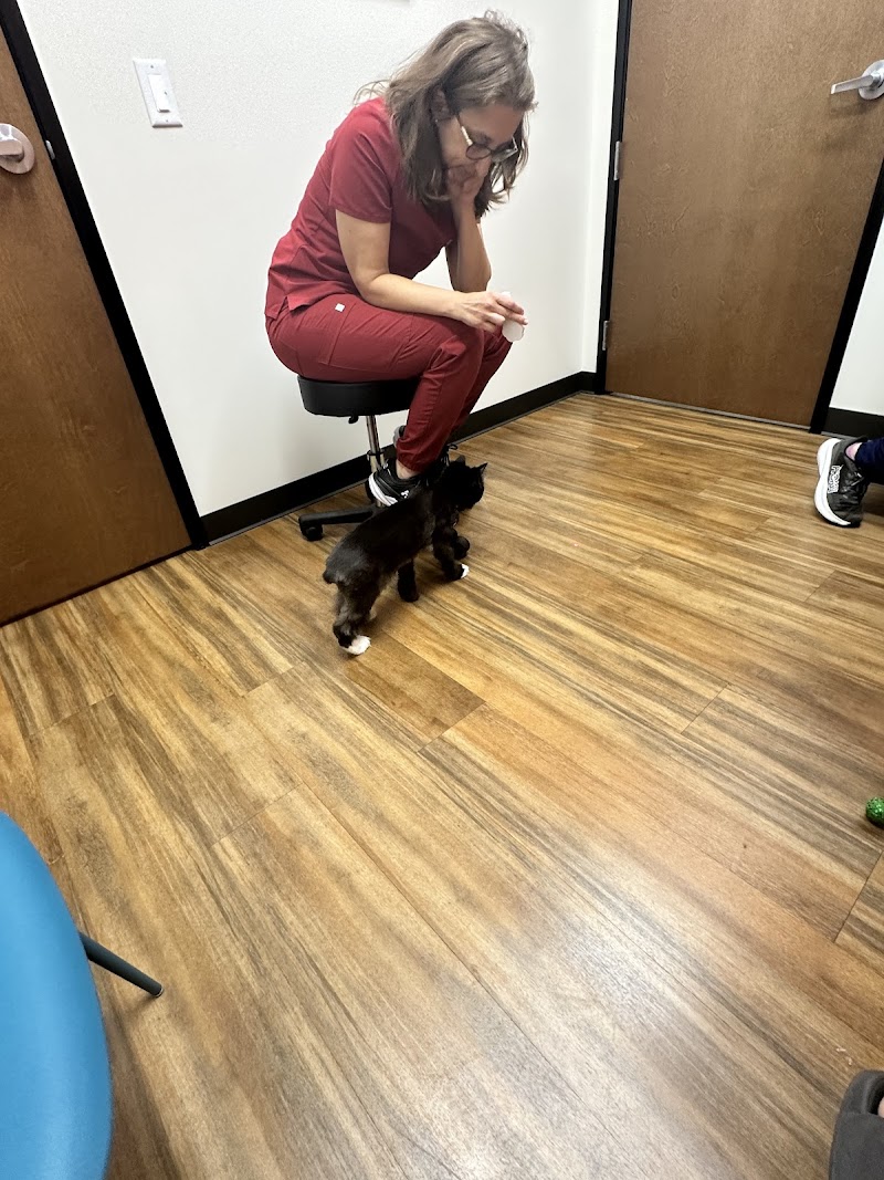 The Bailey Veterinary Medical Center photo 5