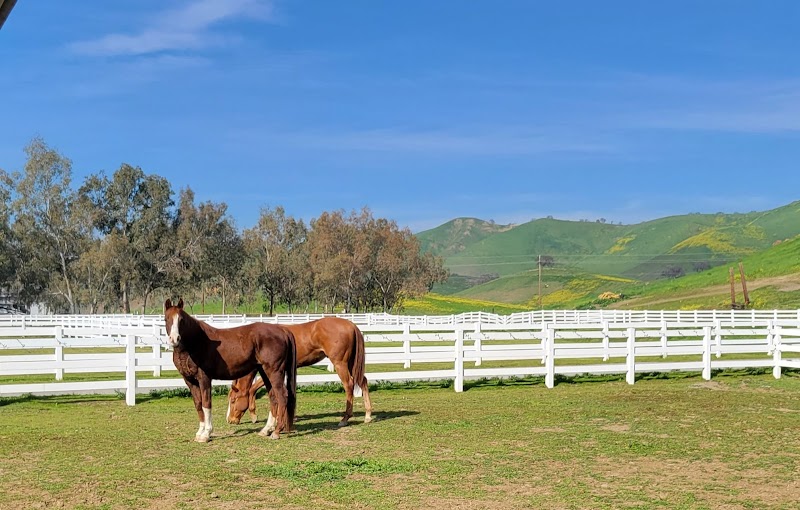 Golden M Family Farms photo 2