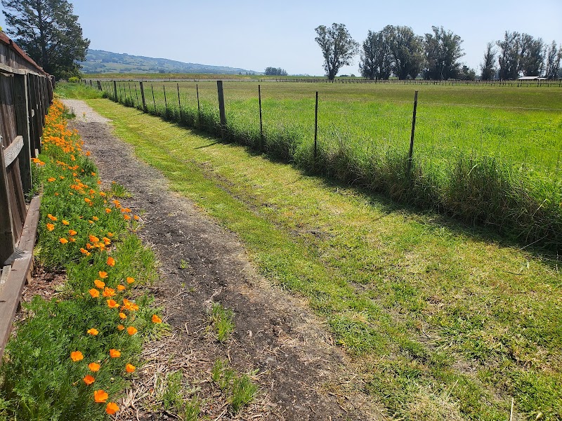 Laguna de Santa Rosa Trail - Cotati photo 2