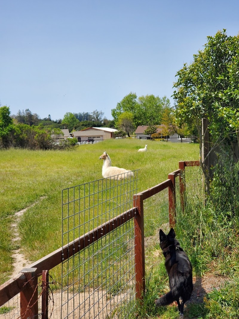 Laguna de Santa Rosa Trail - Cotati photo 4