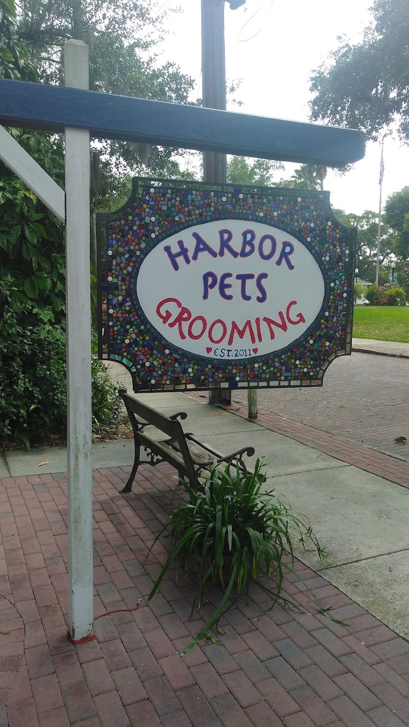 Harbor Pets Grooming photo 4