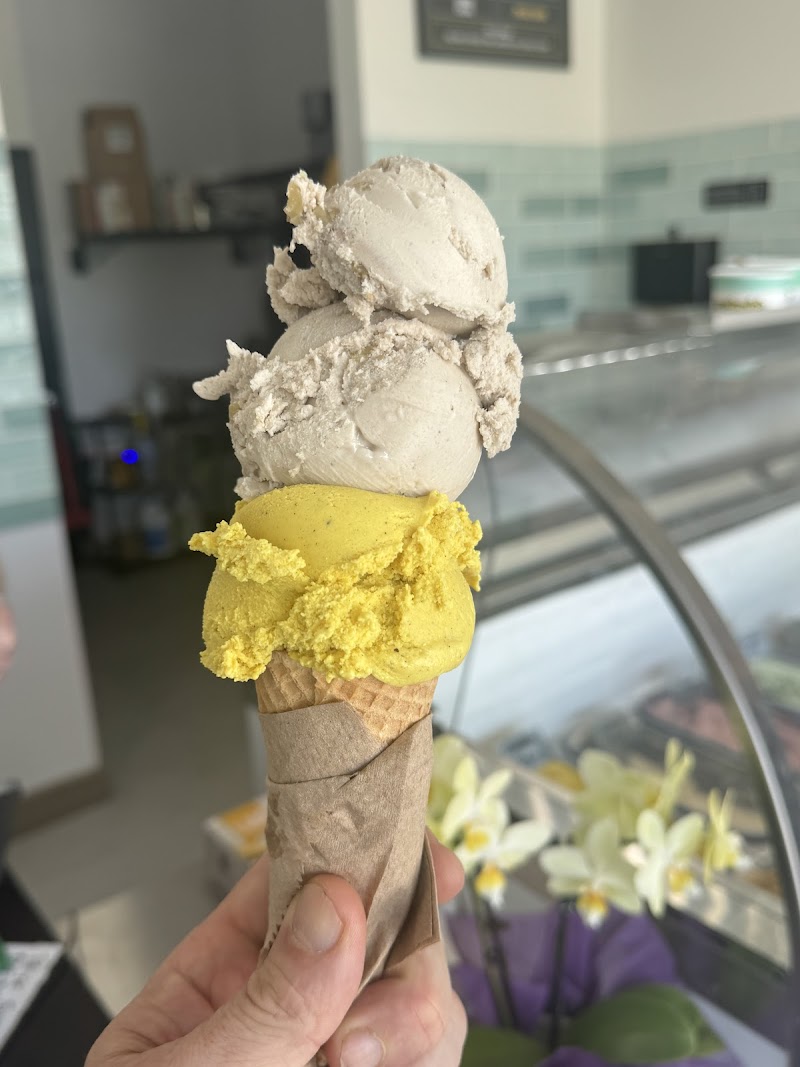 Mr. Dewie's Cashew Creamery photo 2