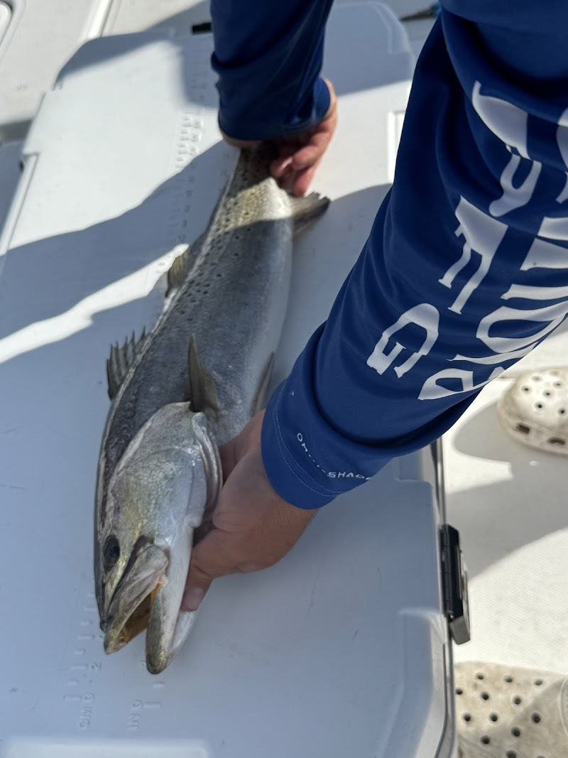 Tampa Fishing Charters, Inc. photo 5