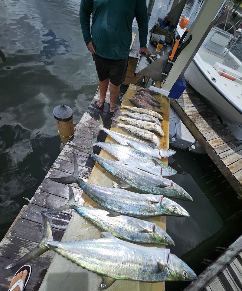 Tampa Fishing Charters, Inc. photo 4