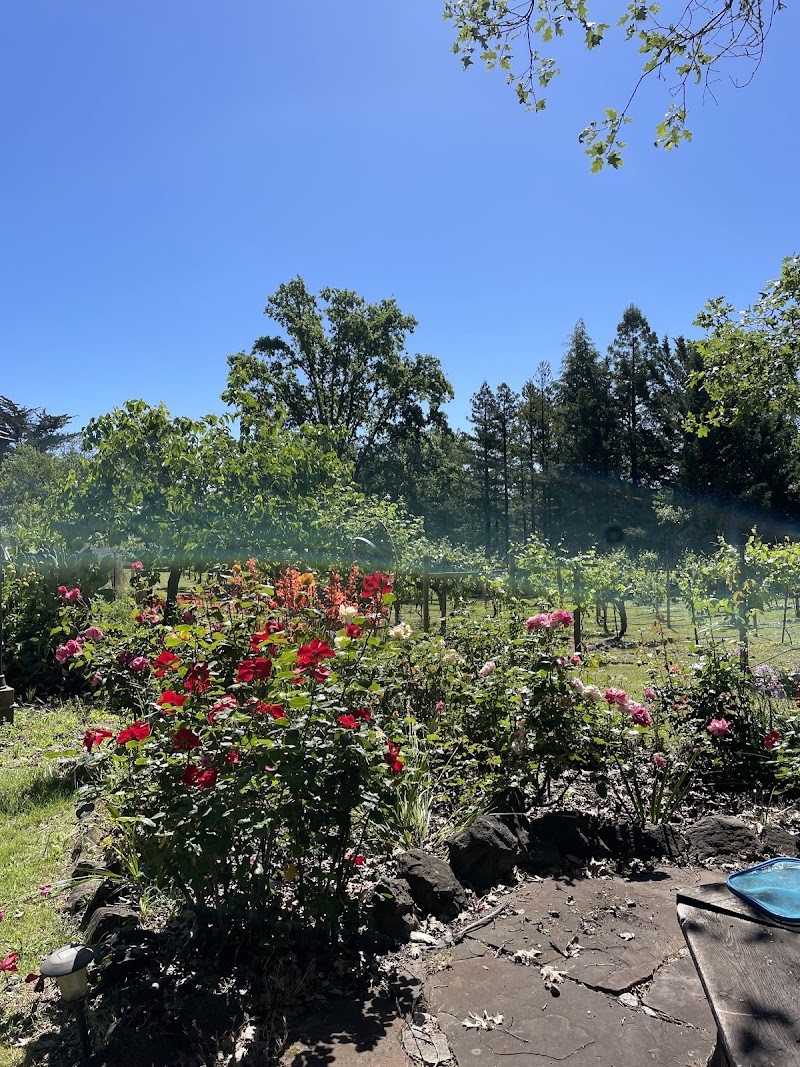 Photo of Golden Nectar Farm