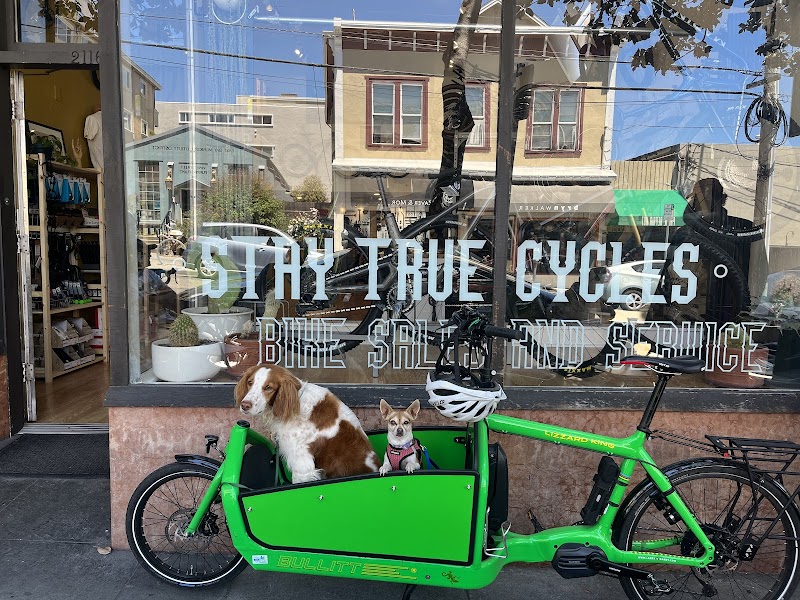Stay True Cycles photo 2