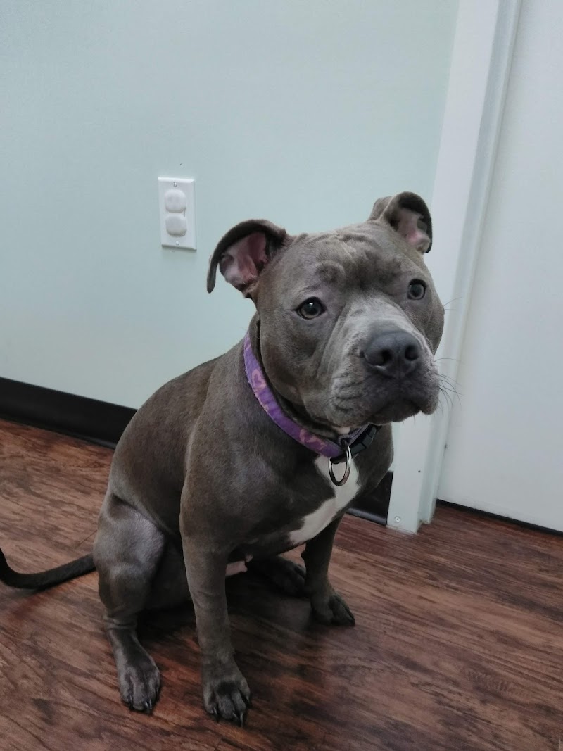 Photo of River Ridge Animal Clinic