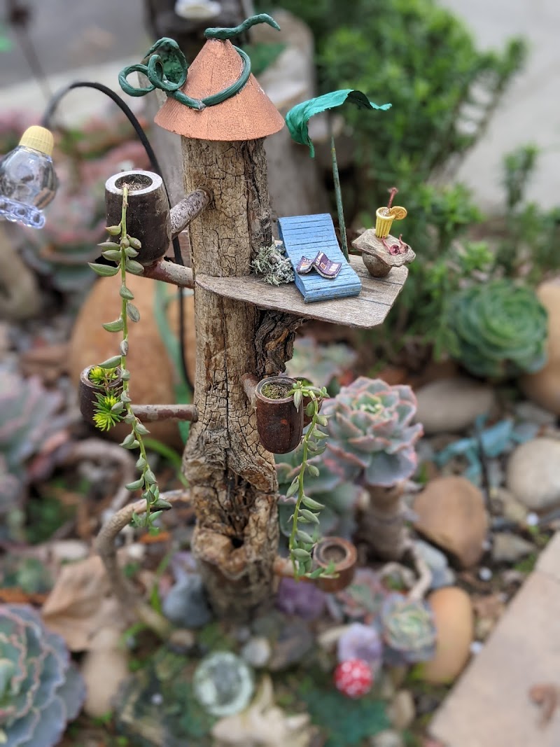Photo of Point Richmond Fairy Houses