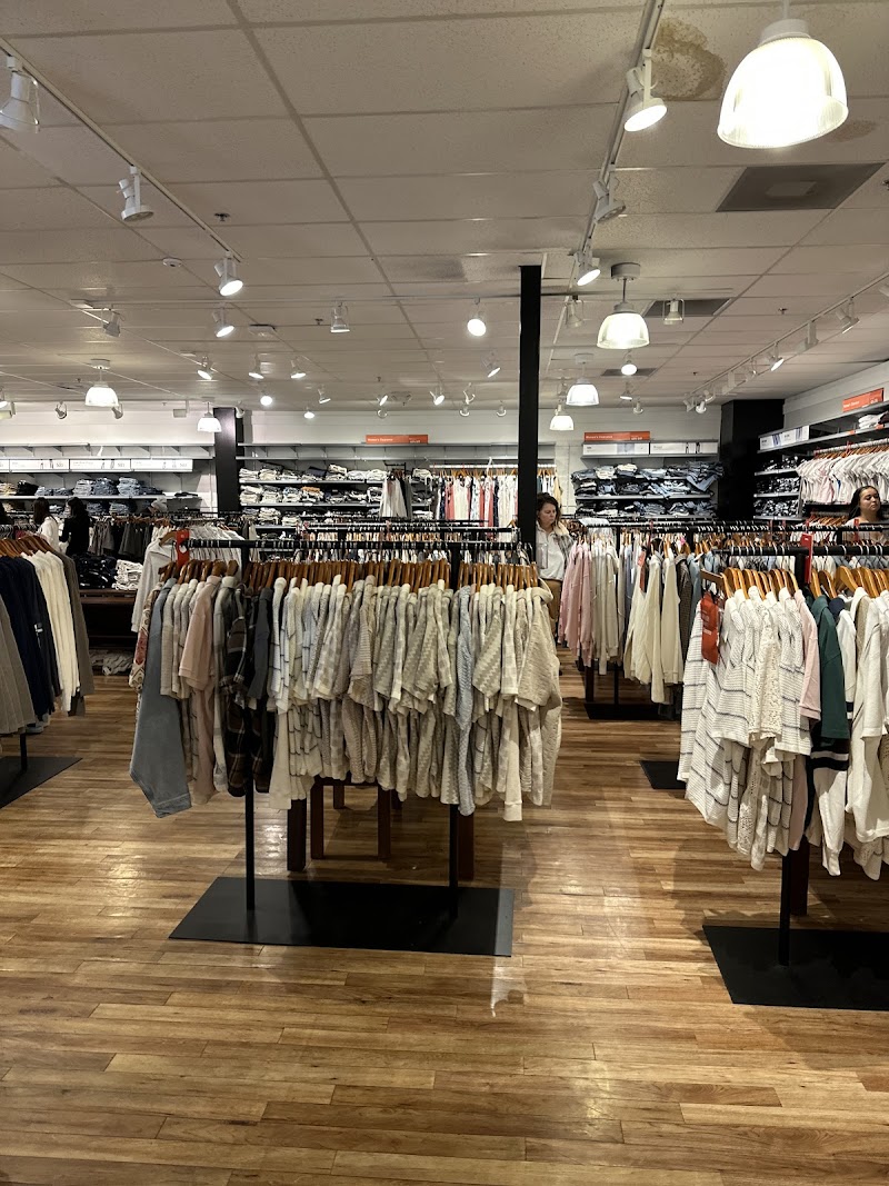Hollister Co. photo 2