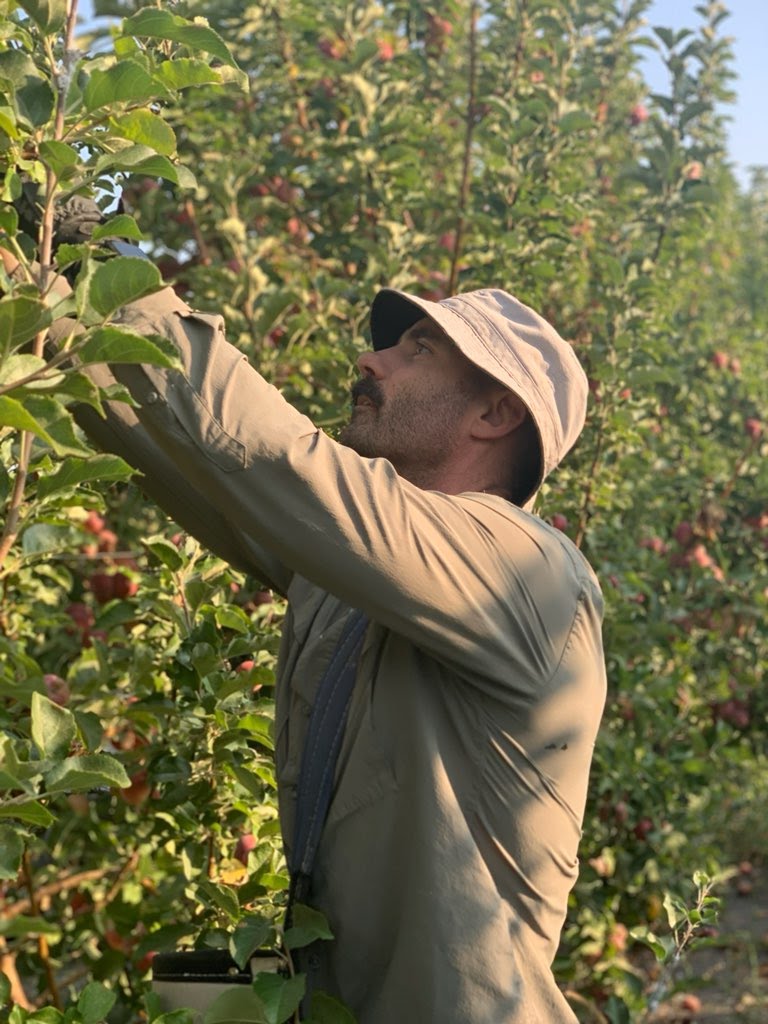 Mount Diablo Cider Company photo 5