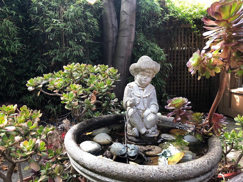 Sausalito Dentistry: Patrick Lee, DDS photo 4