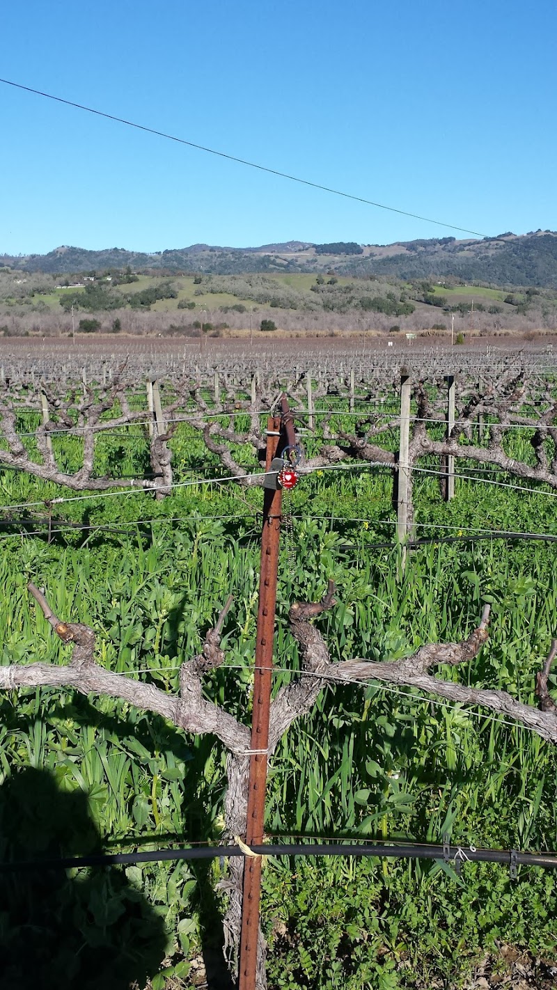 Photo of Pastori Winery
