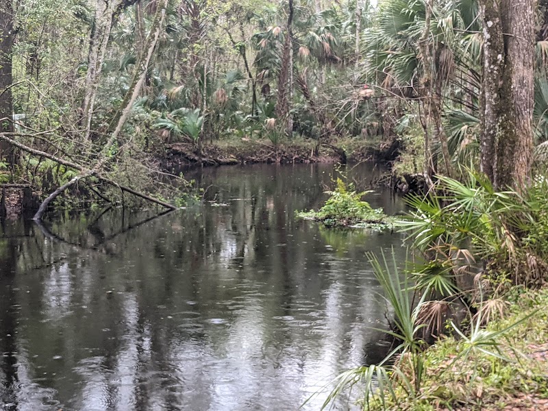 Photo of SWFWMD McNeil Group Campground