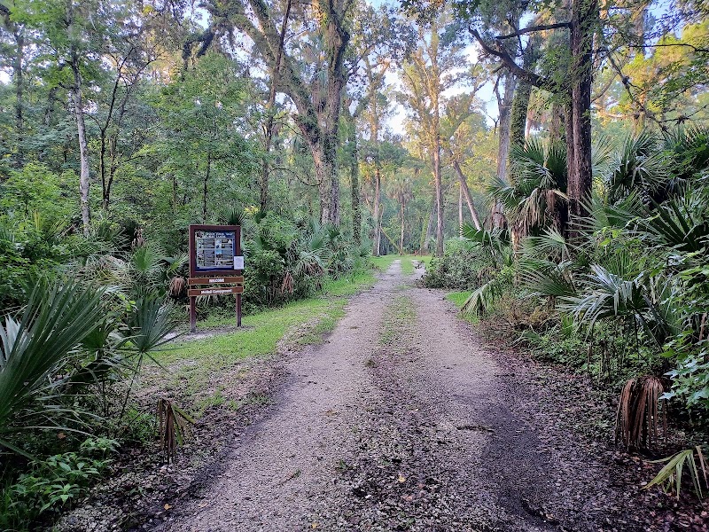 SWFWMD McNeil Group Campground photo 3