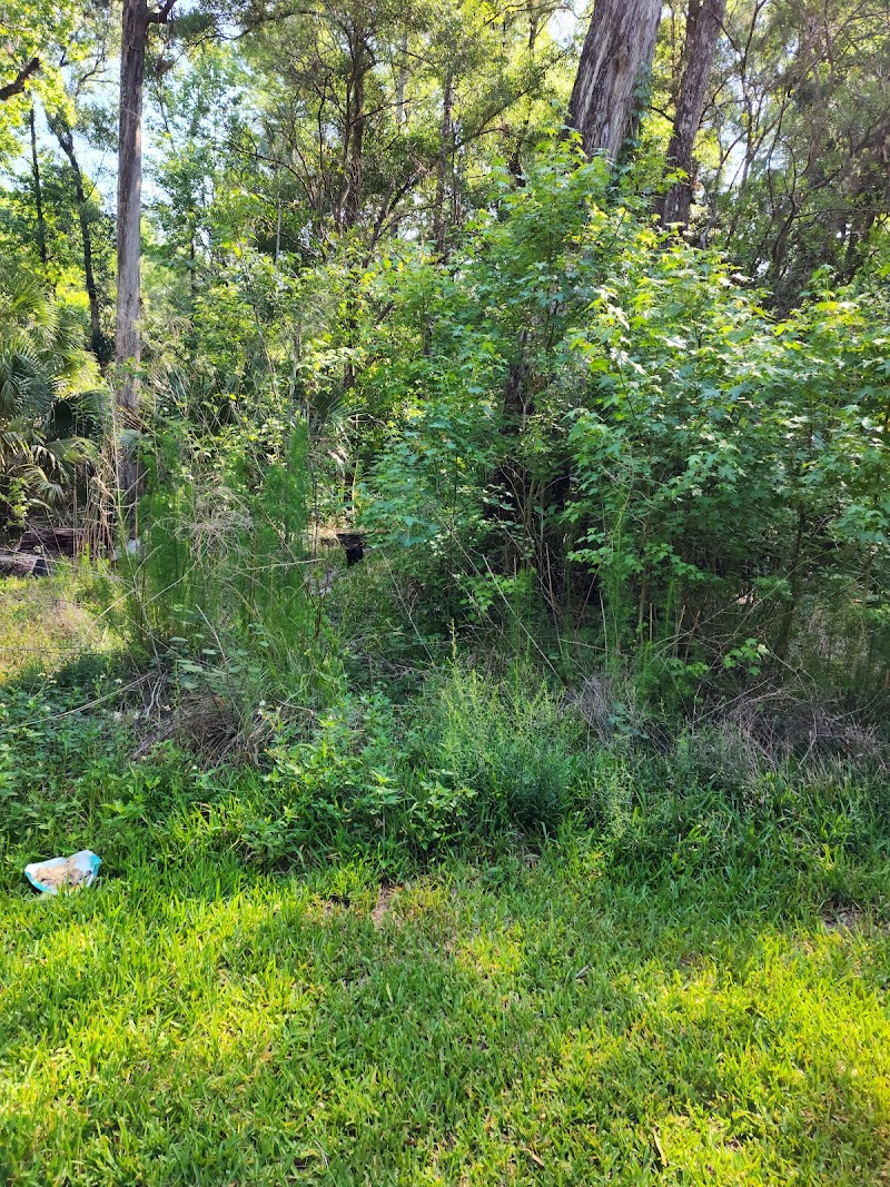 SWFWMD McNeil Group Campground photo 5