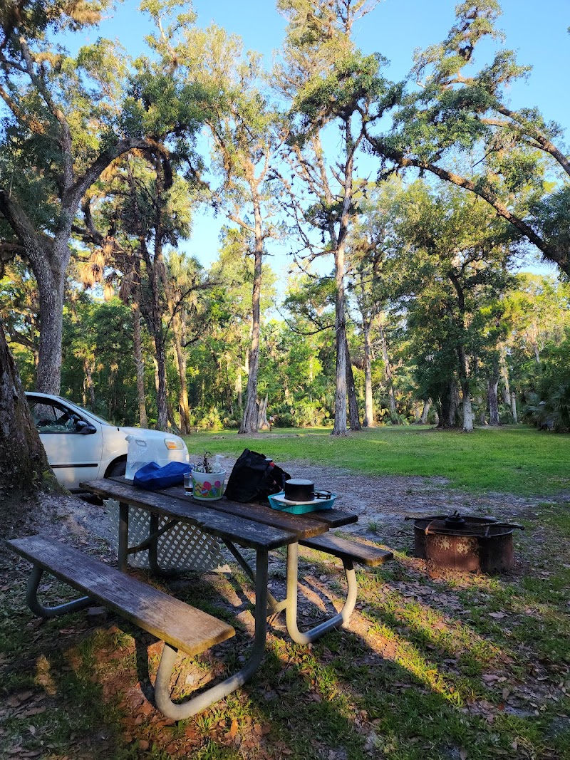 SWFWMD McNeil Group Campground photo 2