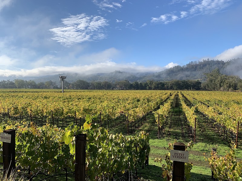 Titus Vineyards photo 3