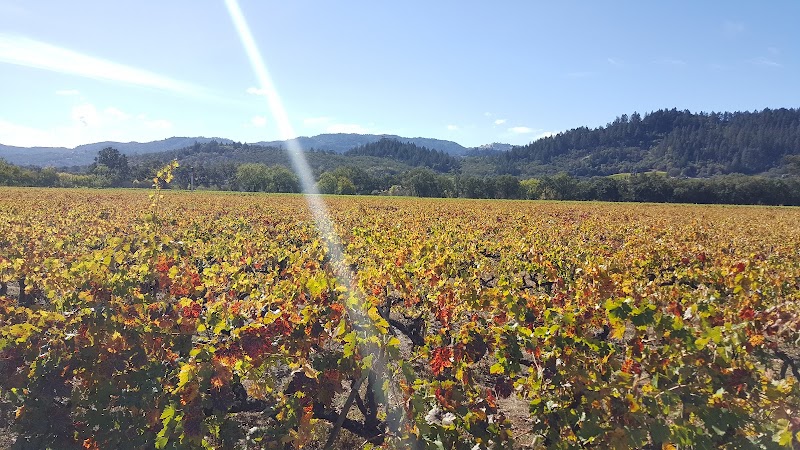 Titus Vineyards photo 5