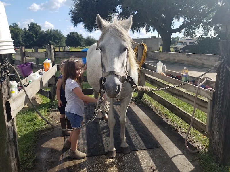 Rockin W Ranch photo 5