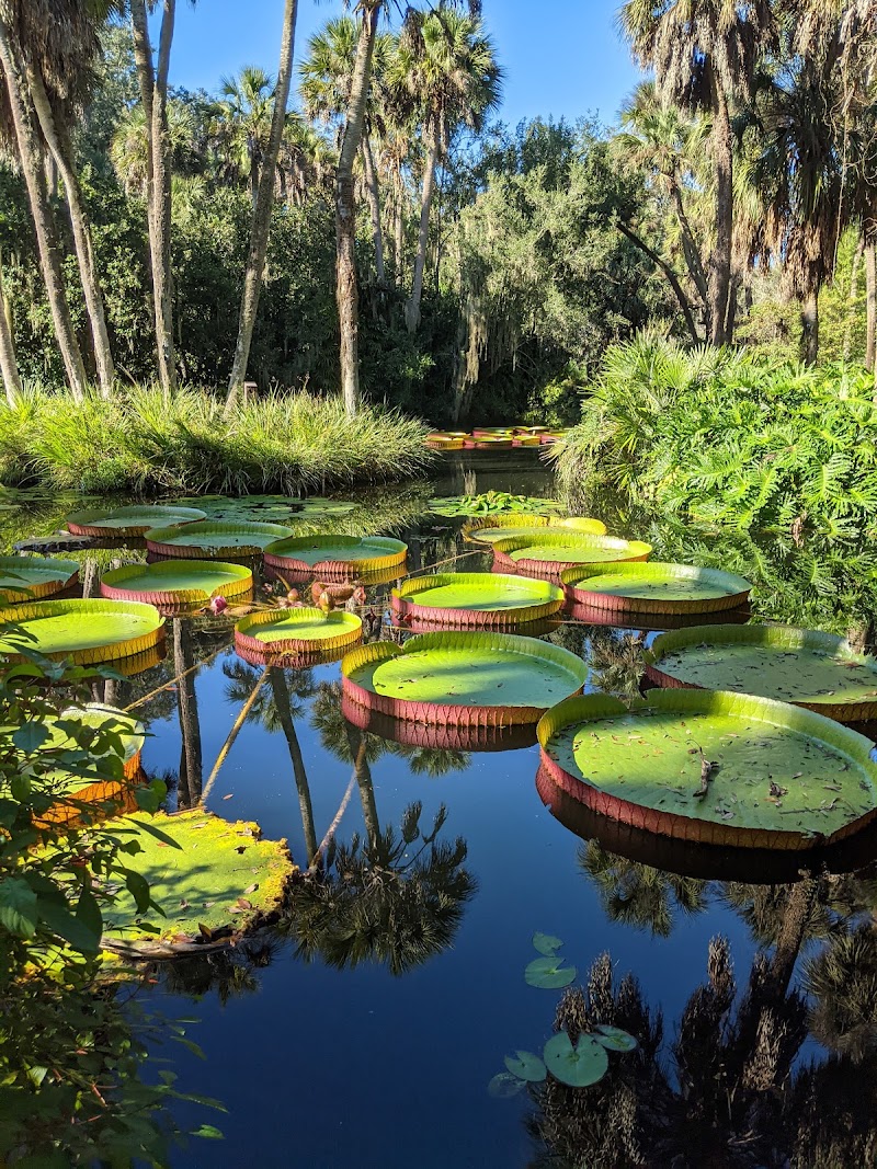 Bok Tower Gardens photo 3