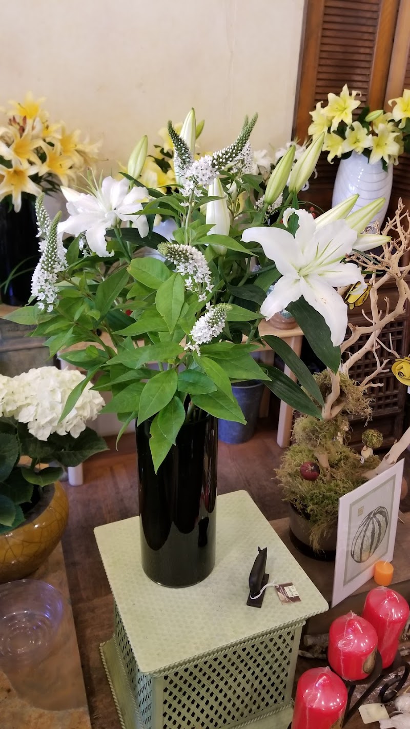 Jutta's Flowers photo 4