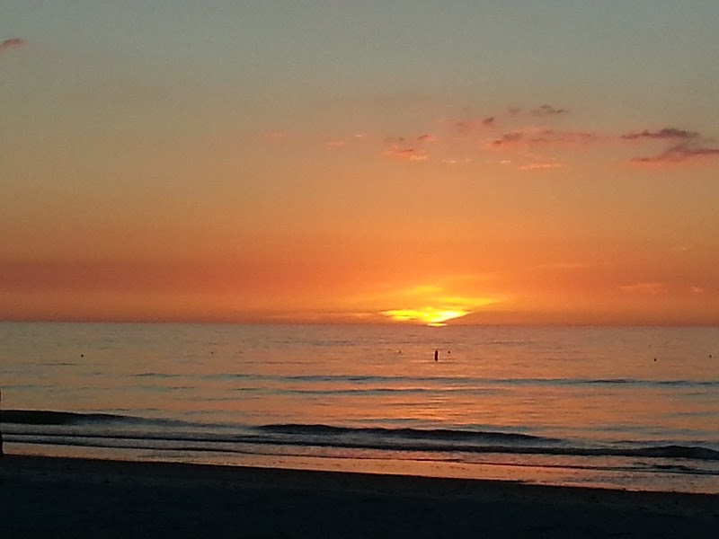 Photo of Tropical Isles Realty Inc
