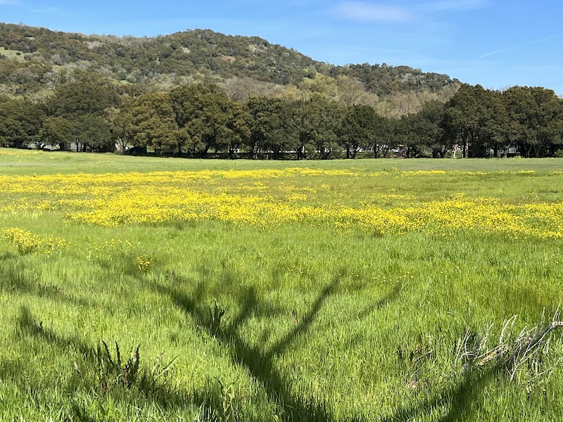Photo of Field of Dreams