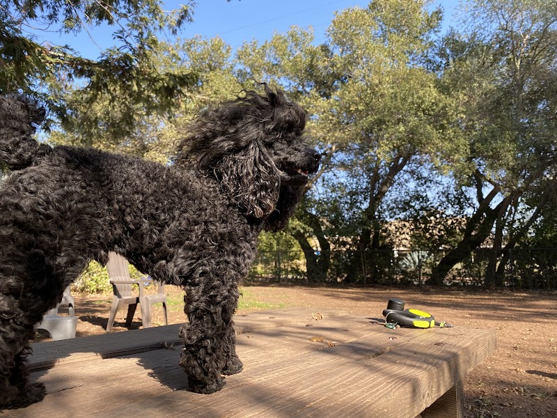 Photo of Ernest Holman Memorial Dog Park