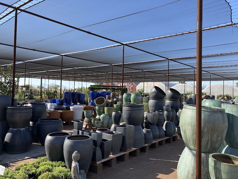 Desert Horizon Nursery photo 5