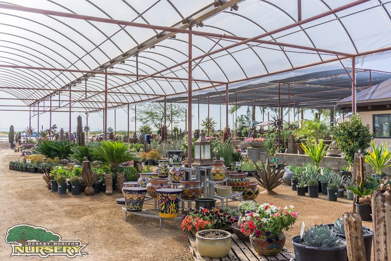 Desert Horizon Nursery photo 3
