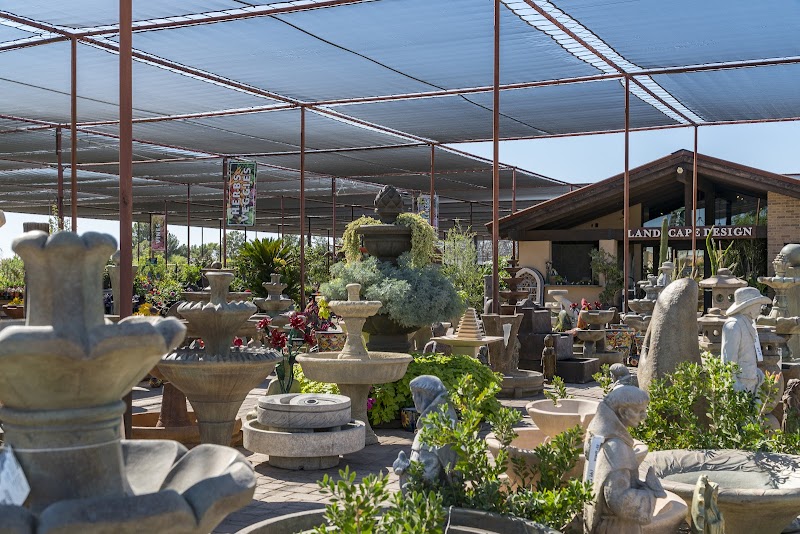 Desert Horizon Nursery photo 4