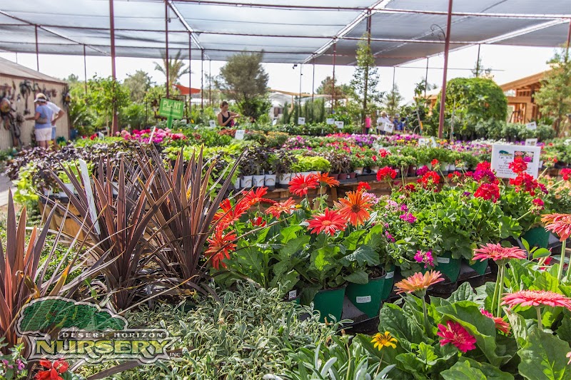 Desert Horizon Nursery photo 2