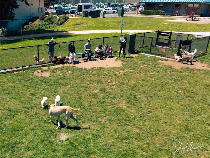 Gellert Park Dog Park photo 3