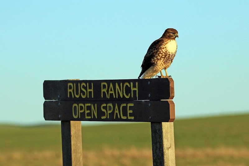 Photo of Solano Land Trust