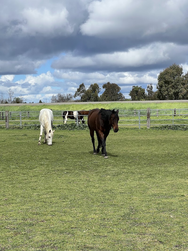 Photo of Old Davis Stables
