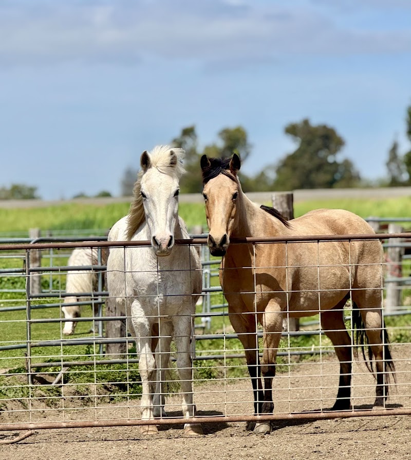 Old Davis Stables photo 3