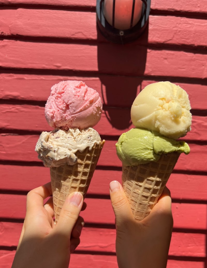 Novel Ice Cream photo 5