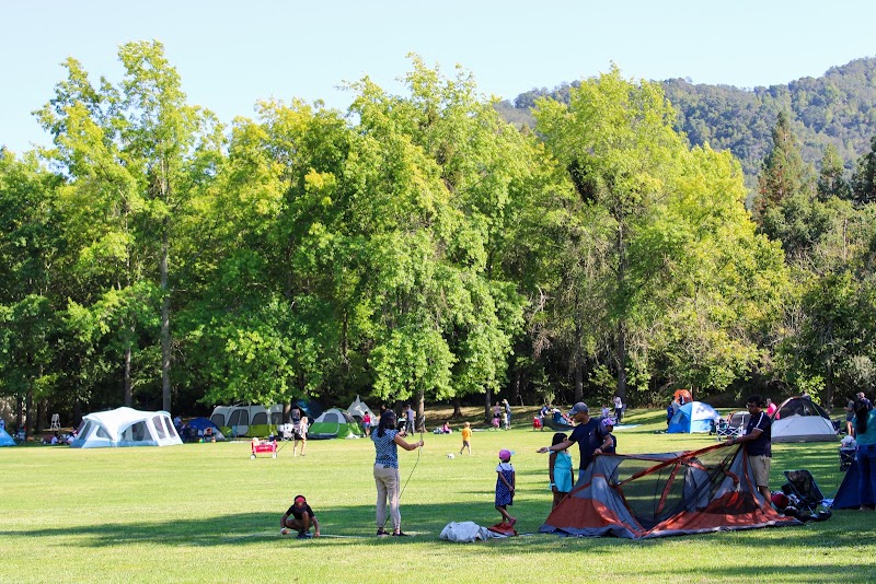 South County Grove photo 3