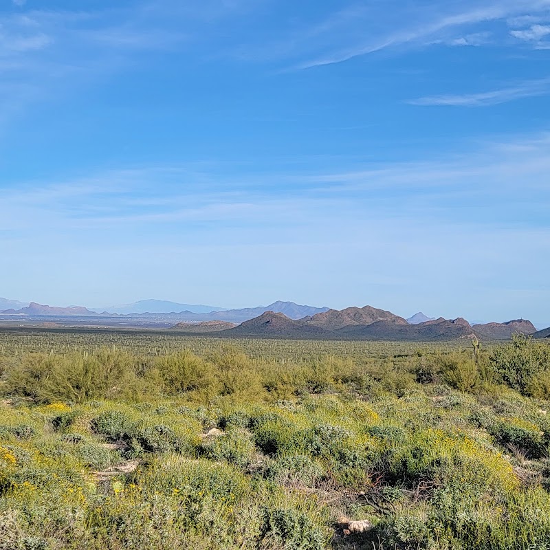 Photo of Waterman Restoration Interpretive Site