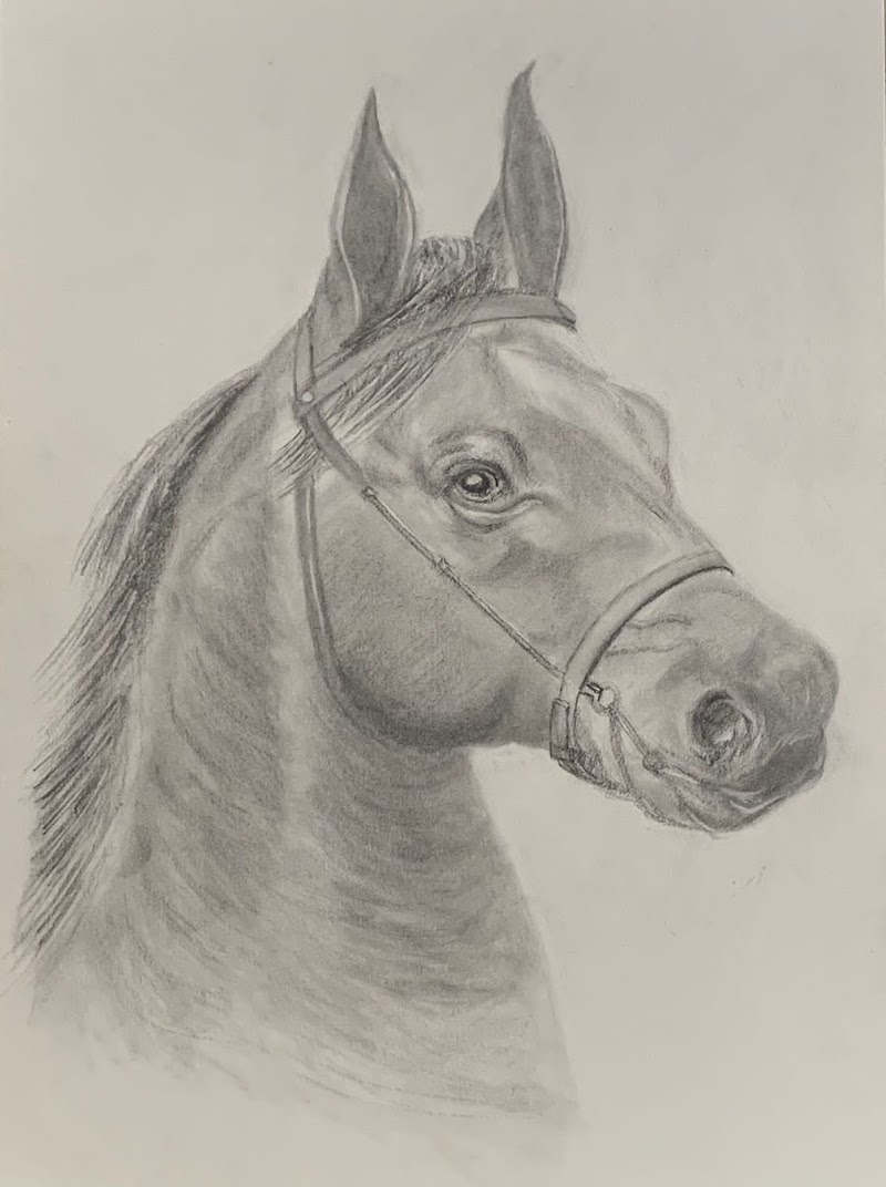 The Drawing Point photo 2