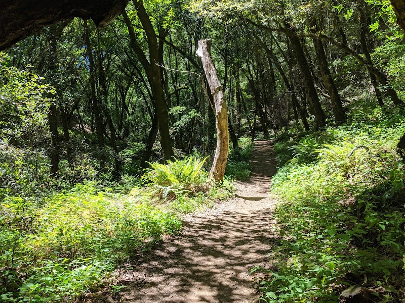 Saratoga Gap Open Space Preserve photo 2