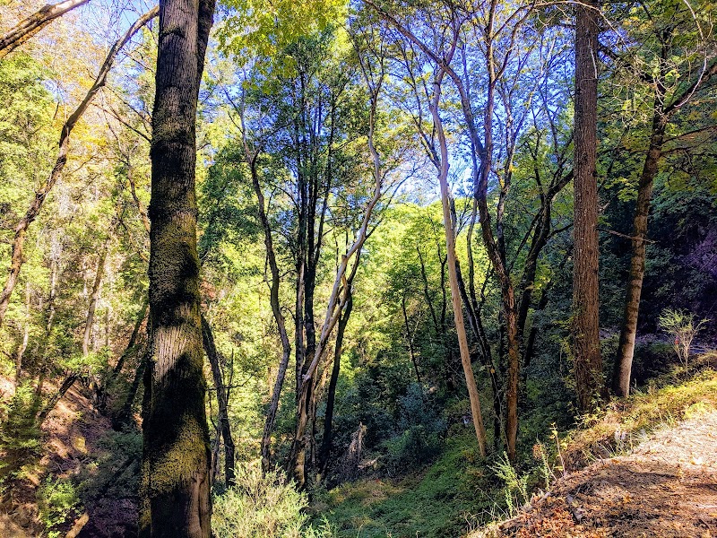 Saratoga Gap Open Space Preserve photo 4