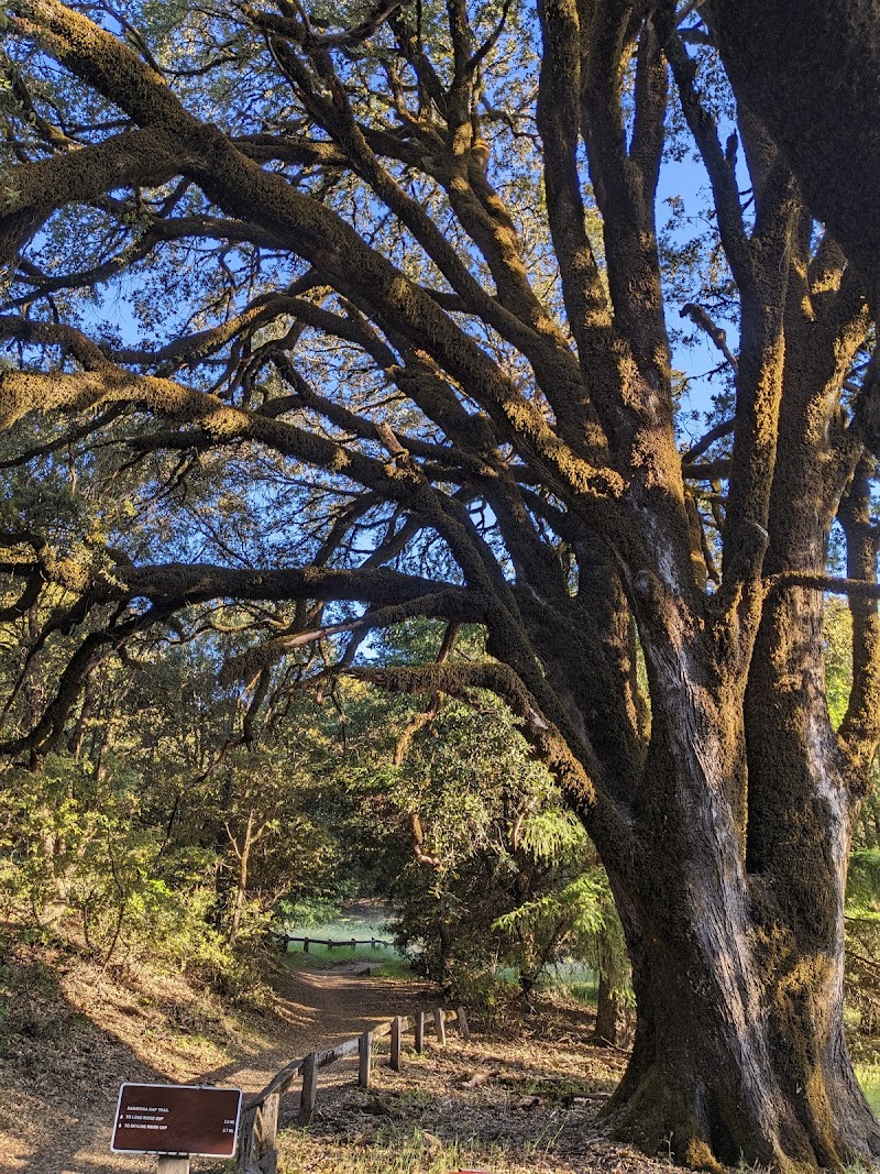 Saratoga Gap Open Space Preserve photo 3